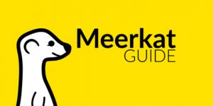 Meerkat Live Streaming